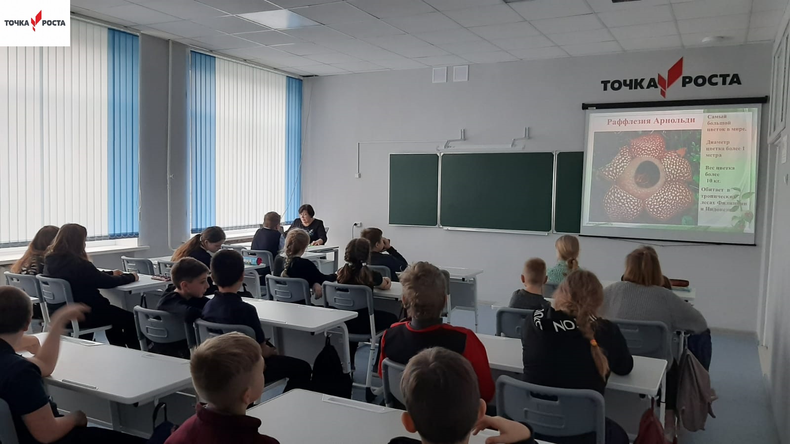 Виртуальная экскурсия «Рекорды в растительном мире» для учащихся 5-х классов.
